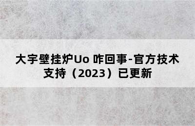 大宇壁挂炉Uo 咋回事-官方技术支持（2023）已更新